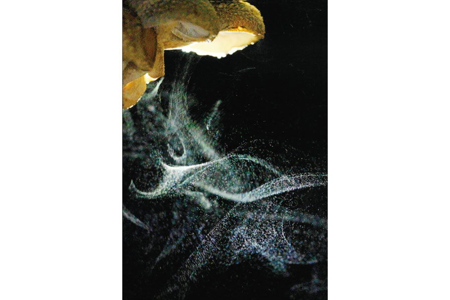 フォトコン202103_入選1_幻夢_高橋佳明_前橋