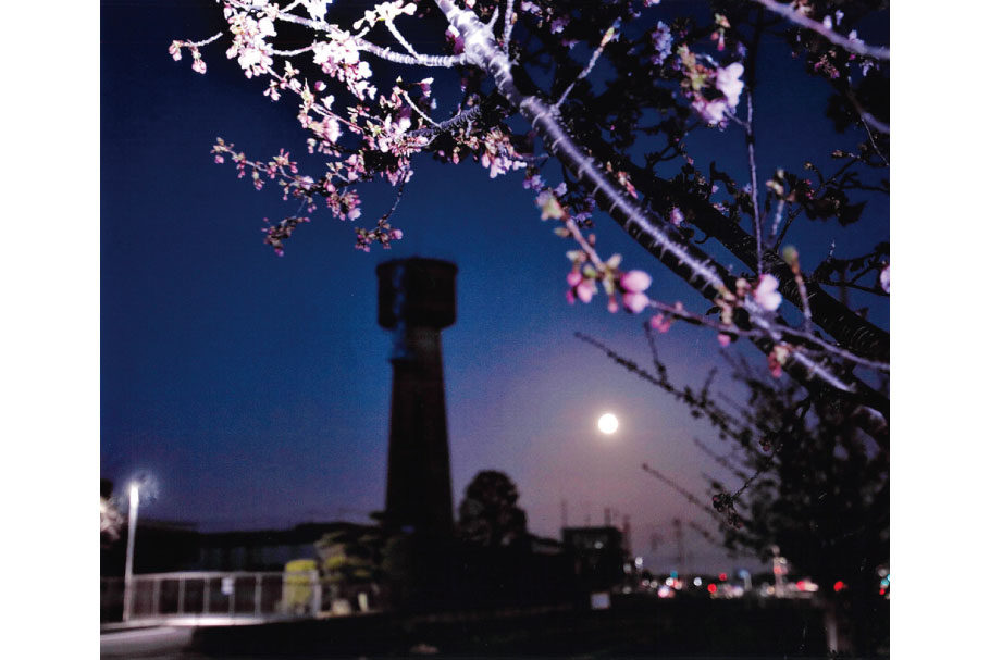 フォトコン202103_入選1_満月と河津桜と_竹内昇_高崎