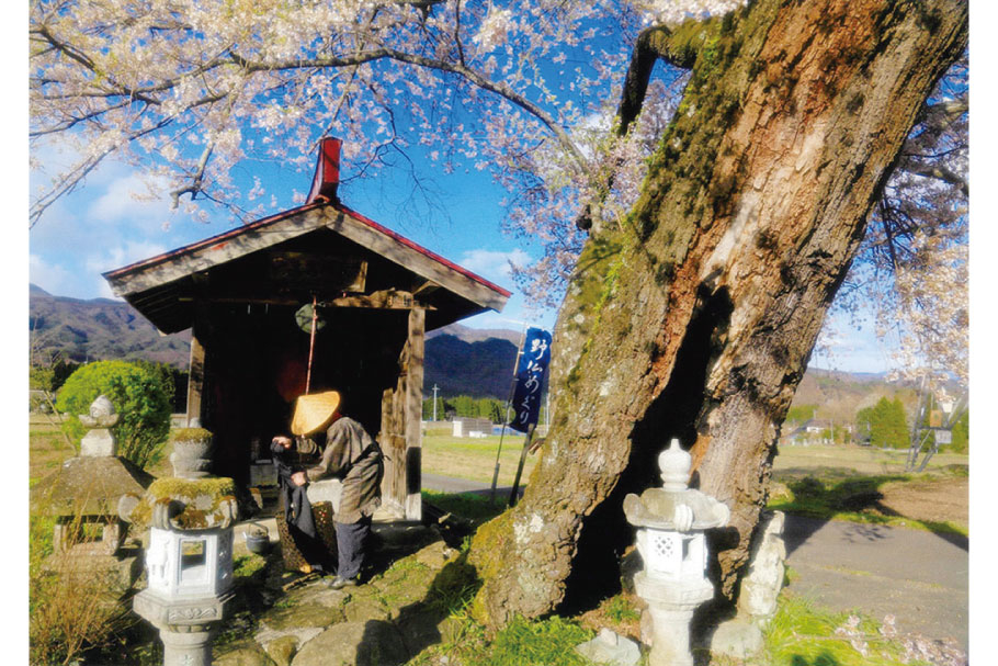 フォトコン202103_入選2_古木の桜_千葉直江_邑楽