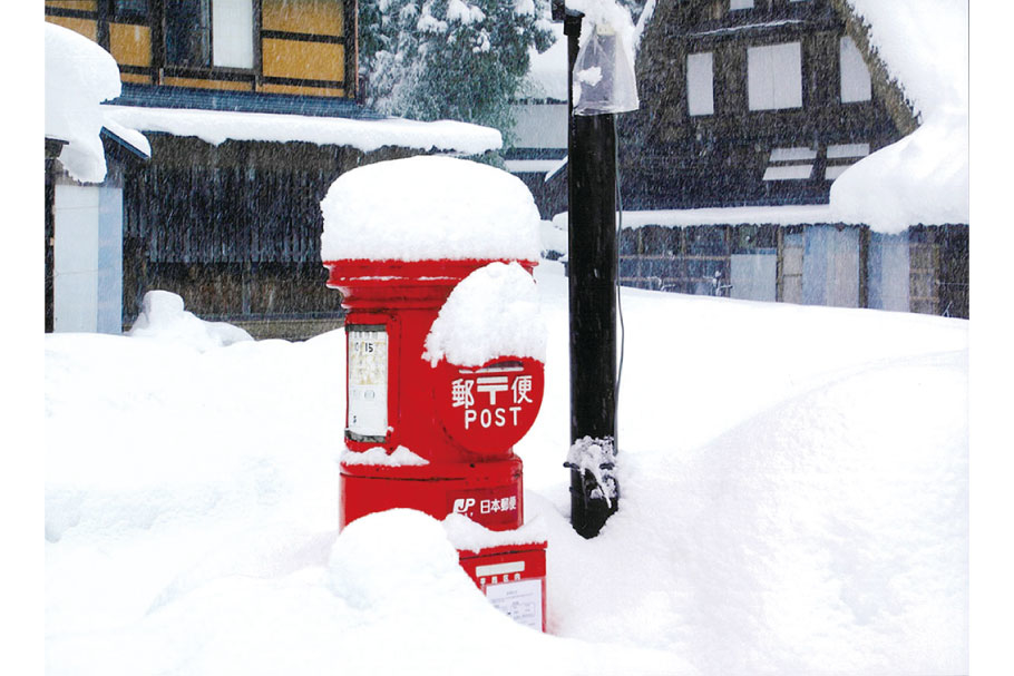 フォトコン202106_入選_１部_雪の中に_大谷敦男_藤岡