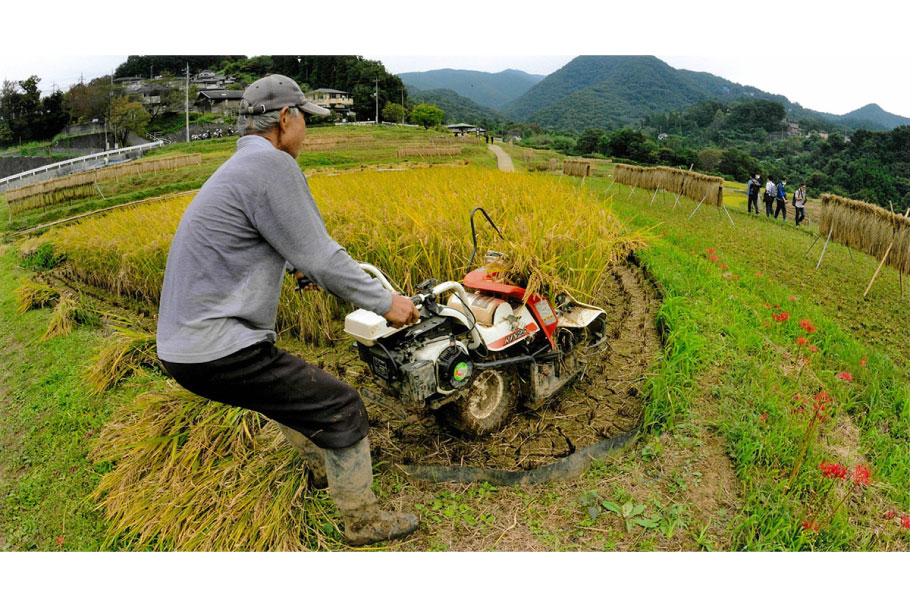 フォトコン202110_入選._2部_棚田の稲刈り_田島正義_伊勢崎