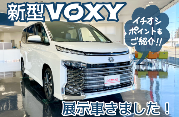 おーさん専用ジャグジー　新品　高崎から持ち帰りも可能 ジャグジー 新品 高崎から持ち帰りも可能