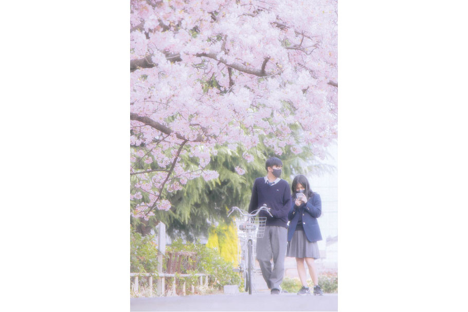 3_特別審査員-吉野信賞_桜の花が散る前_黒田あかり_前橋工2年