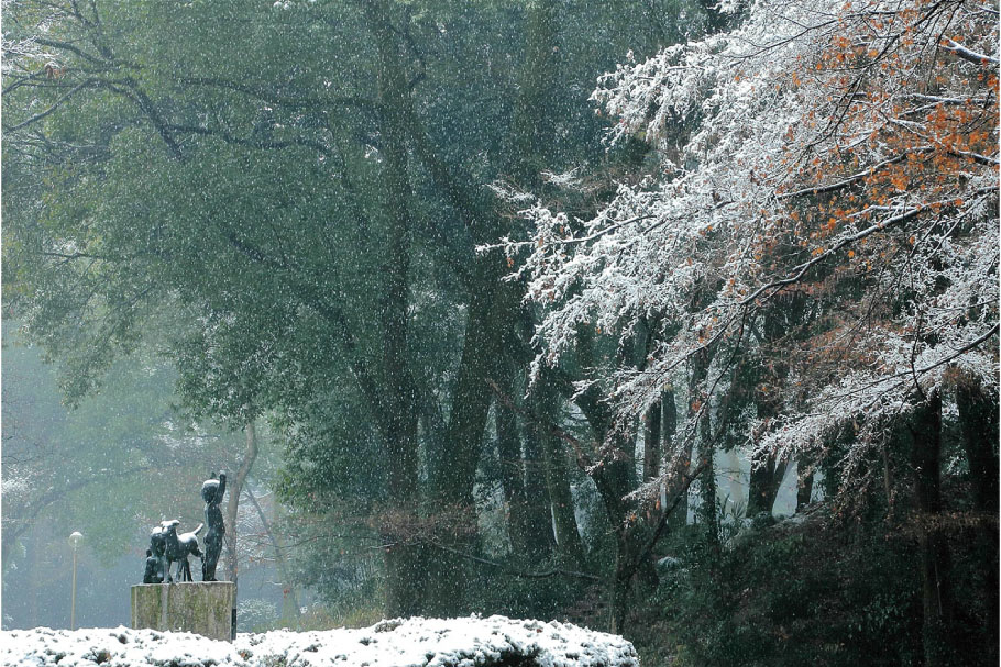 フォトコン2022_02_準入選1部_粉雪の朝_富山エイ子_前橋