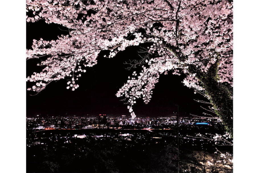 8_入選１部_夜桜越しの夜景_竹内昇_高崎