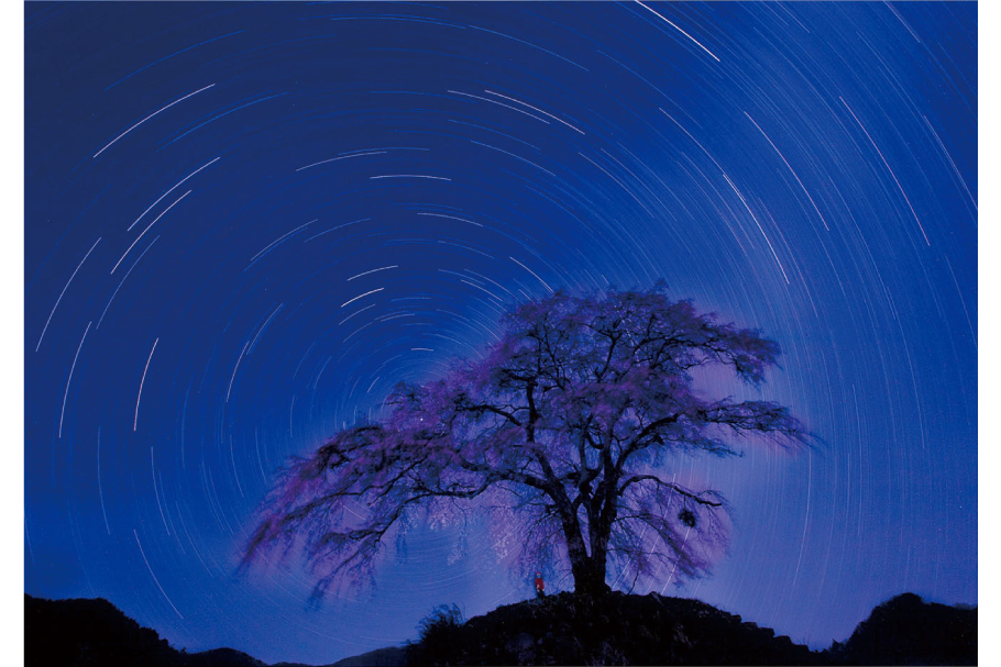 9_入選１部_地蔵桜夜景_しめぎ光男_みなかみ