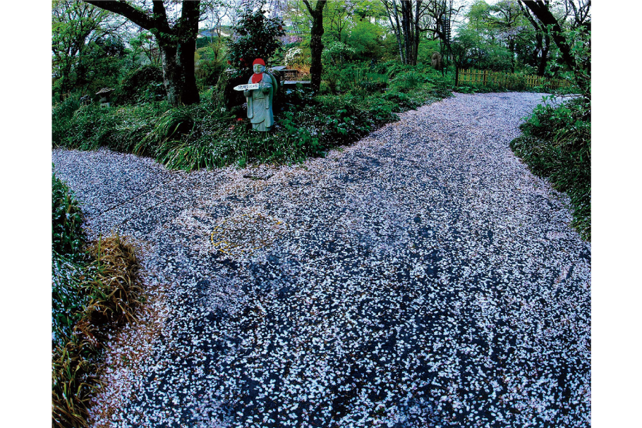 1_4_花の道_矢野文夫_太田市