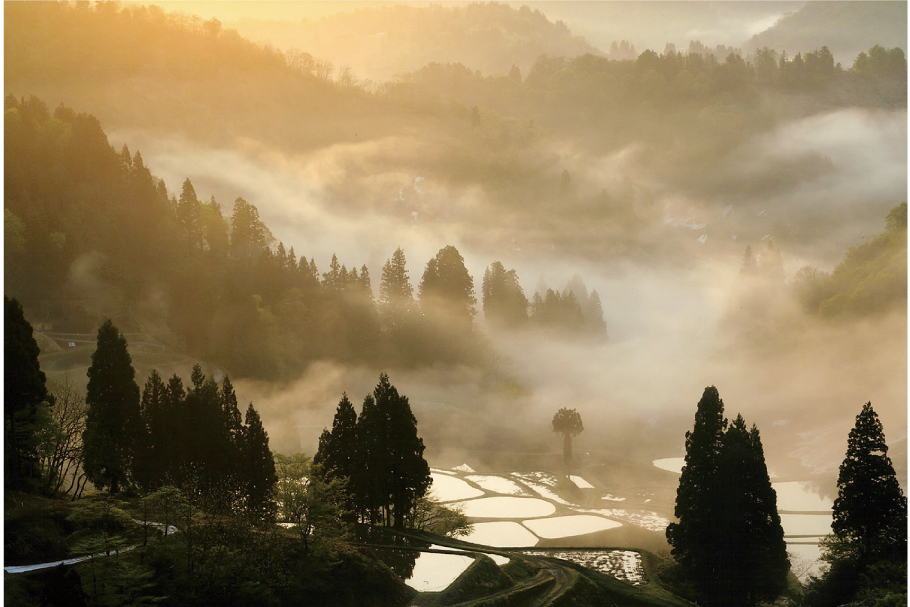 1_6_山里の朝_富山エイ子_前橋市