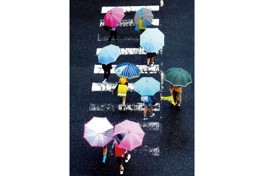 2_3_入選2部_通学路の花_新井豊_前橋