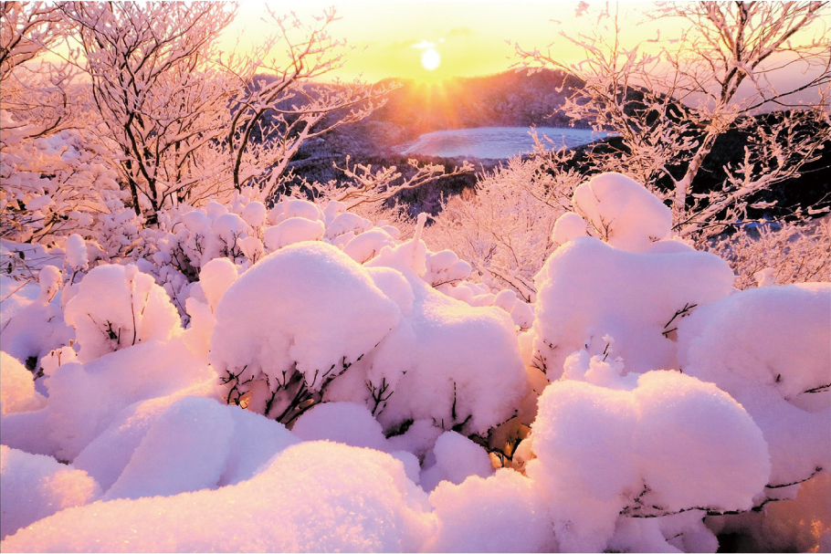 20.風景花賞_綿雪朝光_狩野房雄_前橋