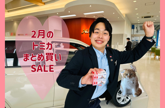 2月のトミカまとめ買いDAY🤓💜💙🧡💛