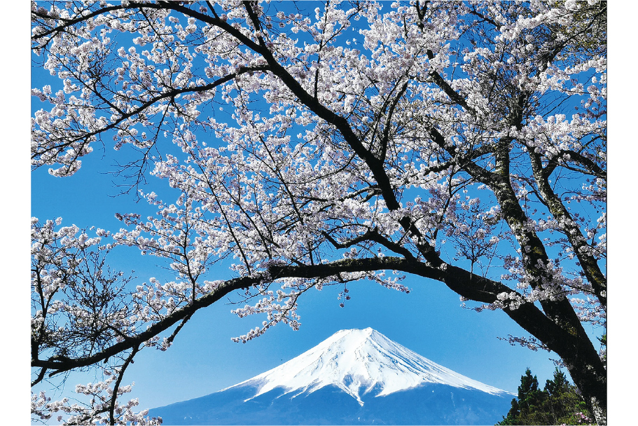 1_5_日本の代表写真_北村奉正_高崎-100