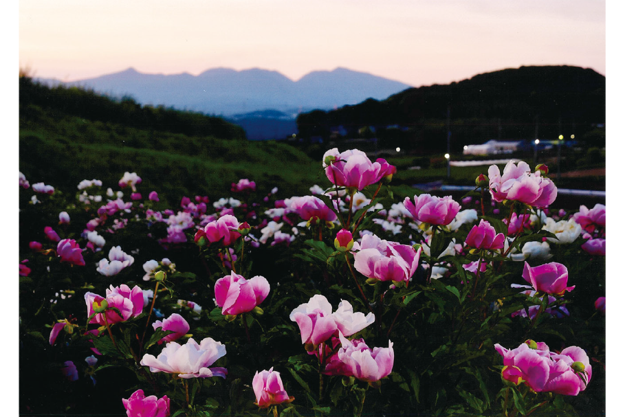 5_4_準入選１部_夕日に映える_小島良行_桐生