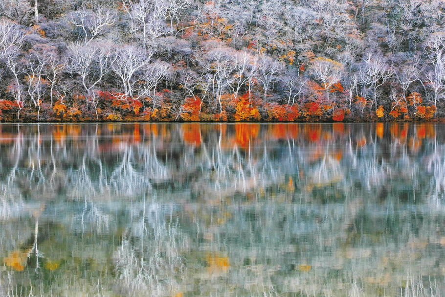 5_入選第１部_水際の紅葉_秋山正則_藤岡