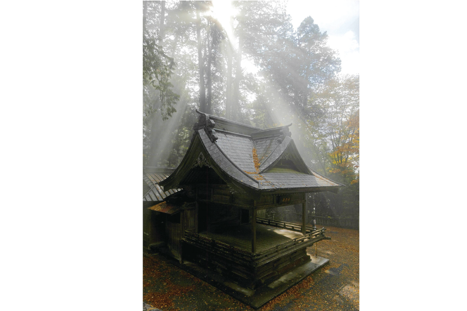 準入選第１部　光芒舞う　阿部典之　高崎市