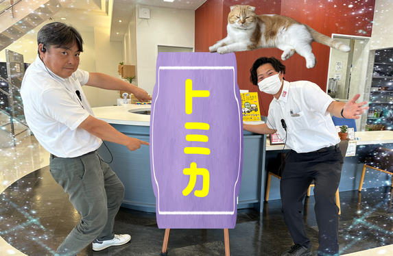 🍀2024年6月のトミカまとめ買いSALEの日🍀