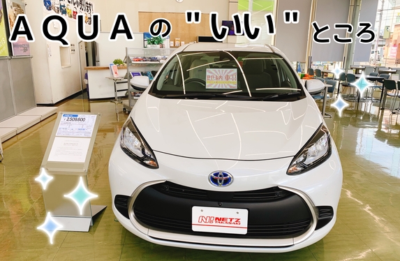 ⟡日々の暮らしにちょうどいいスタイリッシュなアクア⟡.·